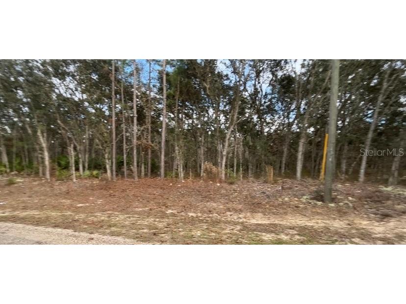 1870 W Hialeah Drive Citrus Springs FL 34434 U8204949 image1