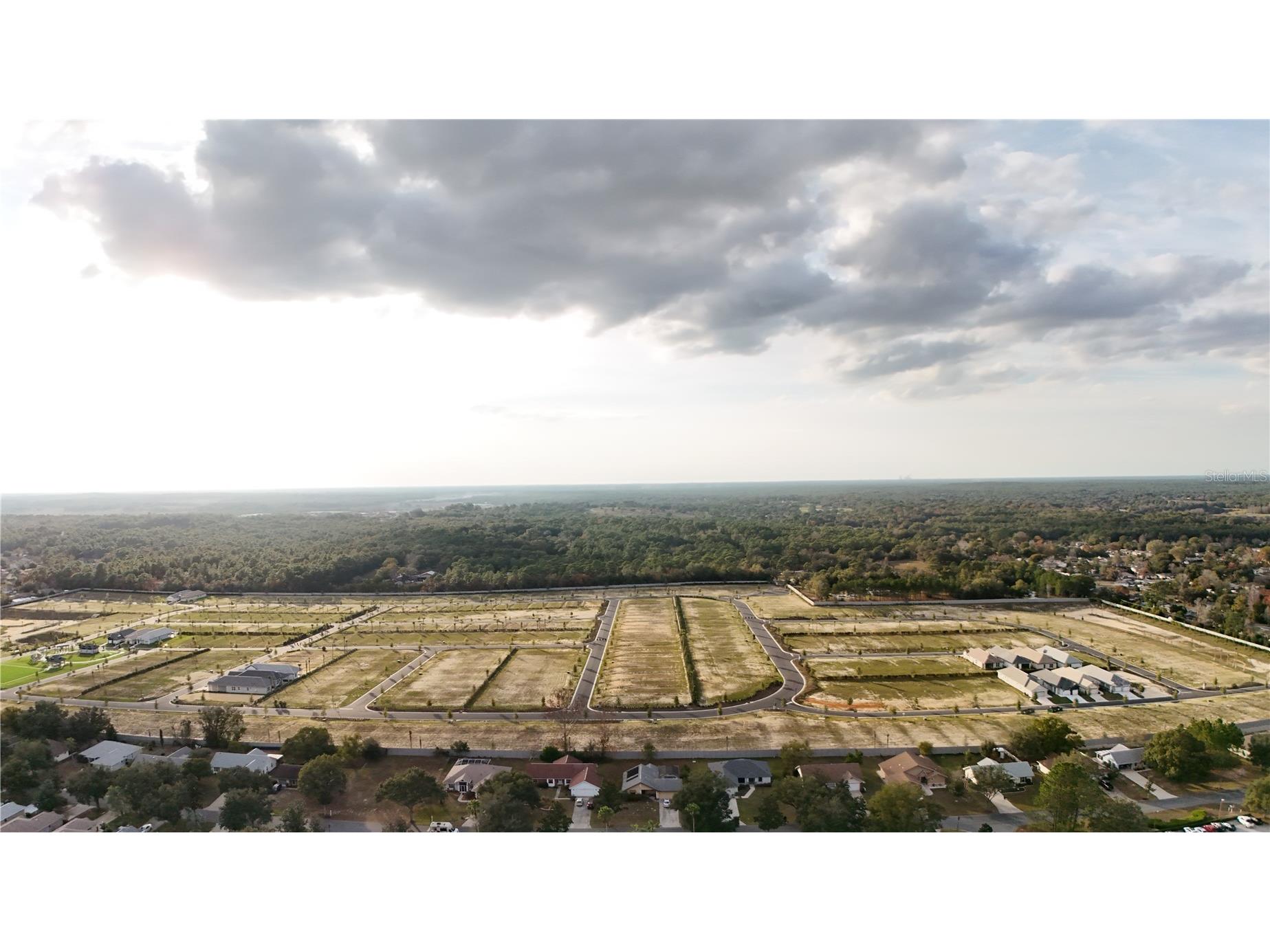 1870 W Shanelle Path Lecanto FL 34461 OM716377 image5