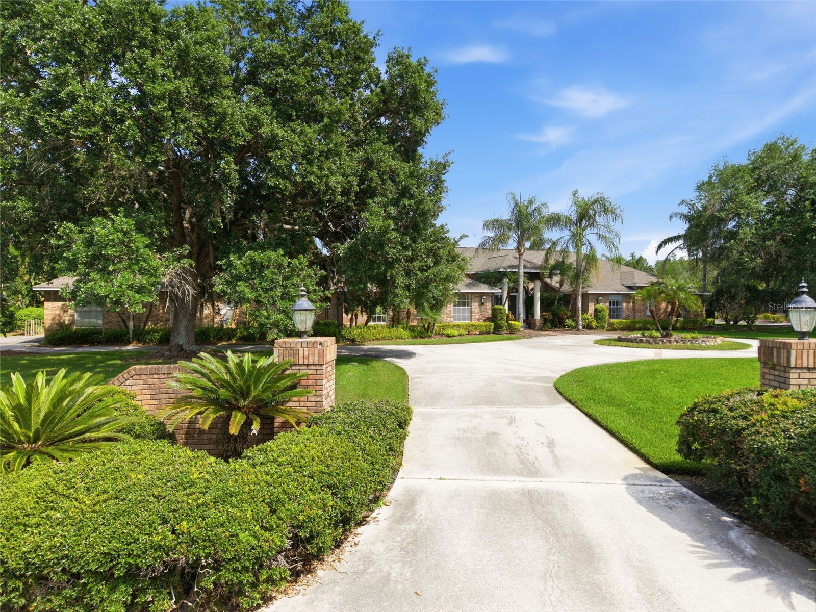 18701 Pepper Pike Lutz FL 33558 TB8497360 image5