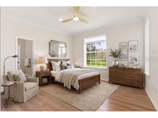 18701 Pepper Pike Lutz FL 33558 TB8497360 image63