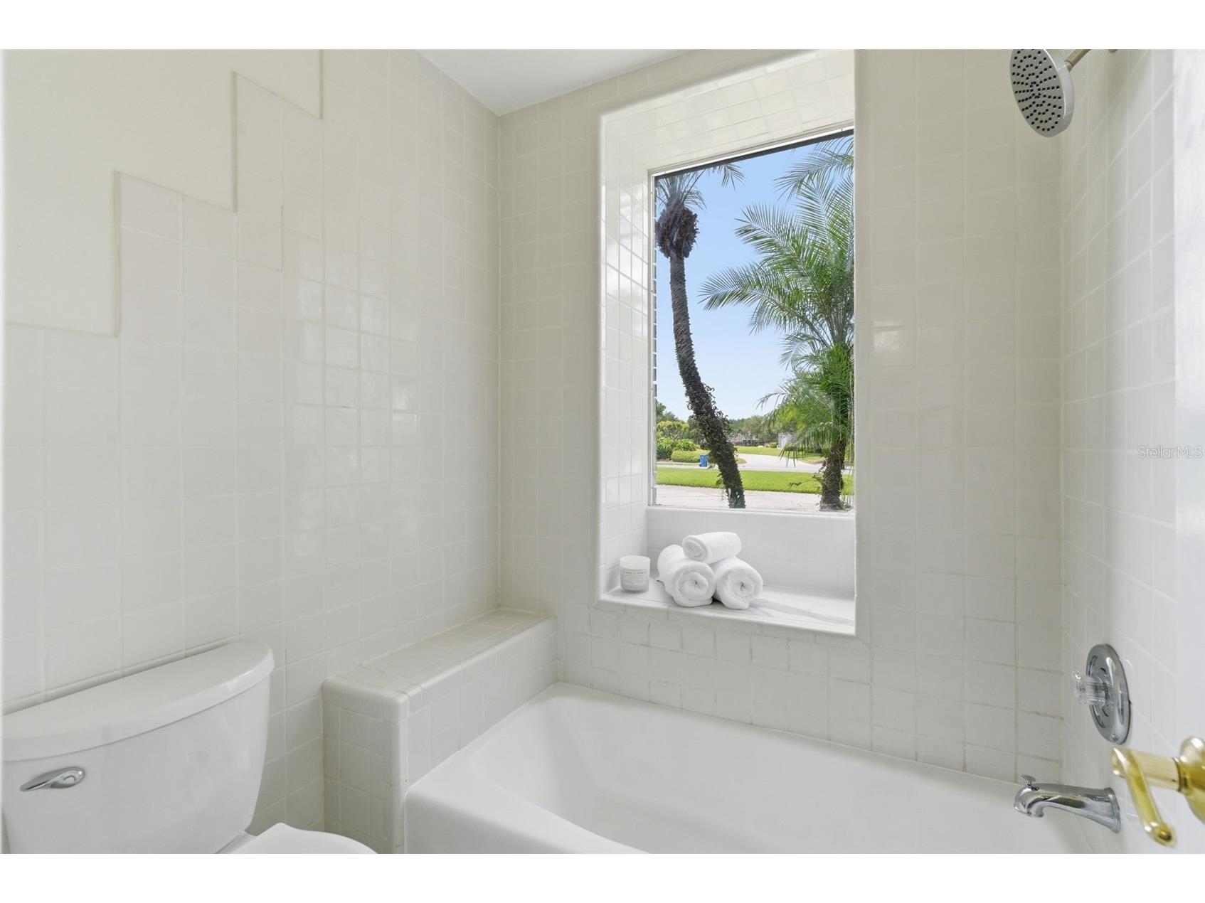 18701 Pepper Pike Lutz FL 33558 TB8497360 image71