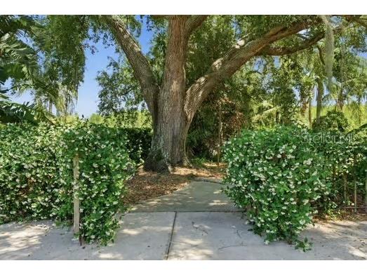 18701 Pepper Pike Lutz FL 33558 TB8497360 image77