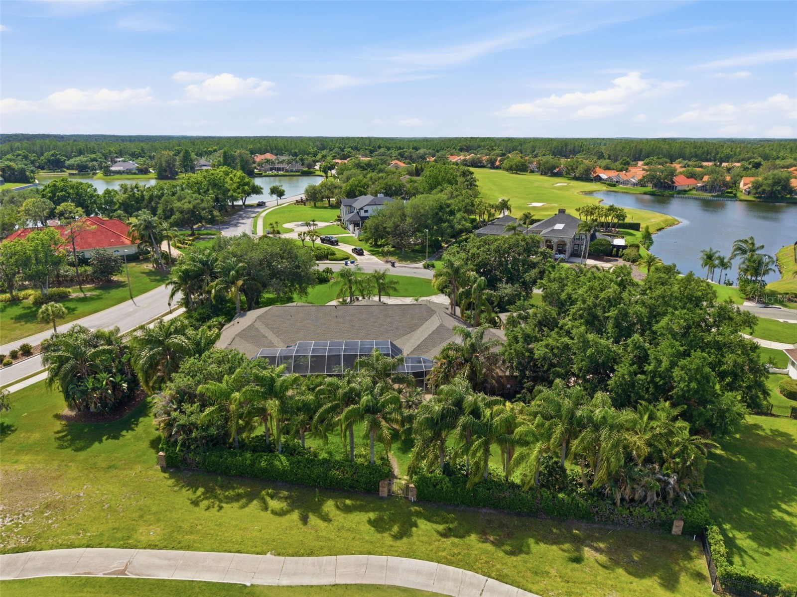 18701 Pepper Pike Lutz FL 33558 TB8497360 image80