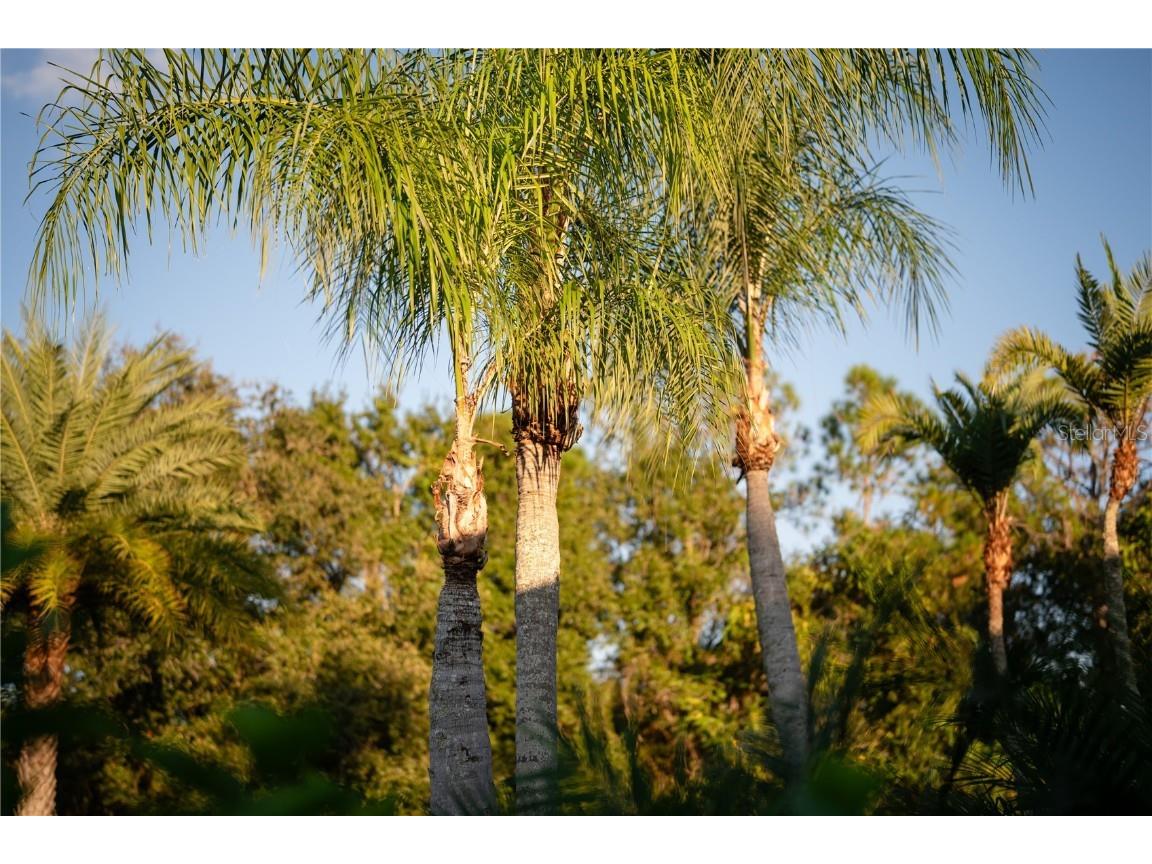 18702 69th Avenue E Bradenton FL 34211 A4670128 image57