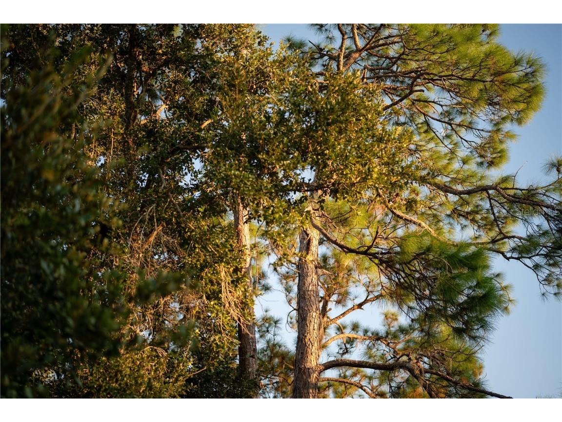 18702 69th Avenue E Bradenton FL 34211 A4670128 image63