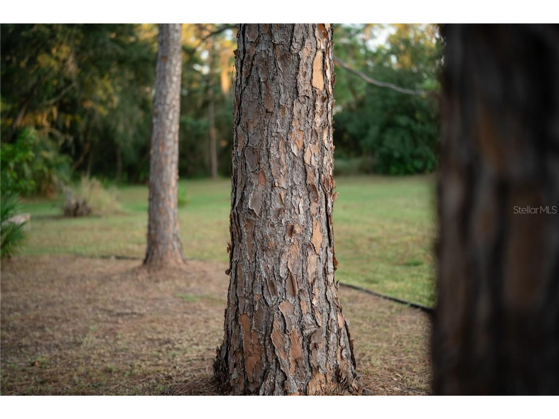 18702 69th Avenue E Bradenton FL 34211 A4670128 image64