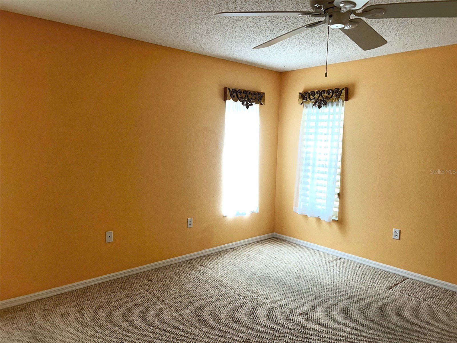 18702 Bellevista Court Hudson FL 34667 TB8525473 image13