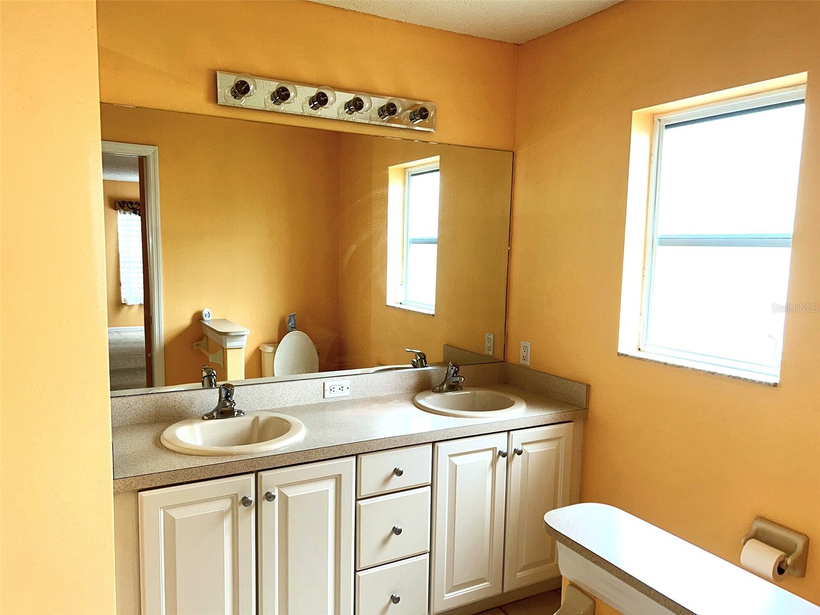 18702 Bellevista Court Hudson FL 34667 TB8525473 image14