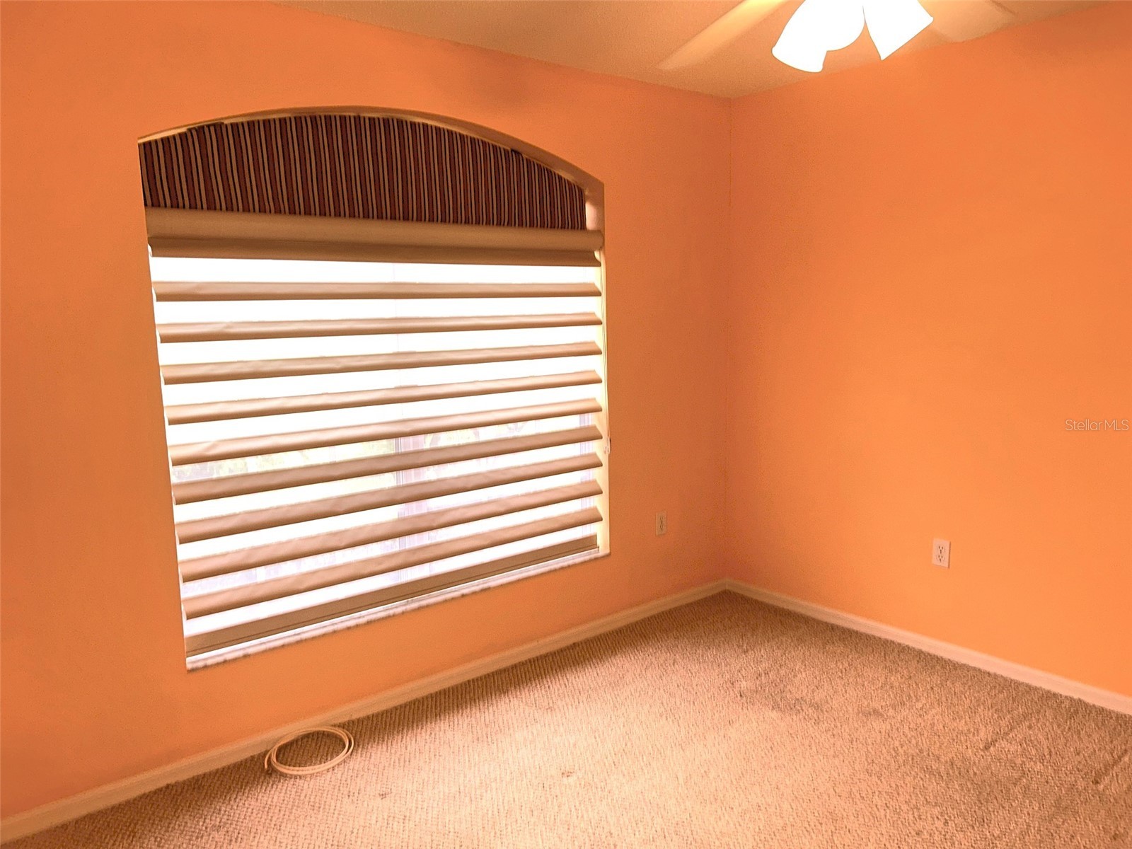 18702 Bellevista Court Hudson FL 34667 TB8525473 image16