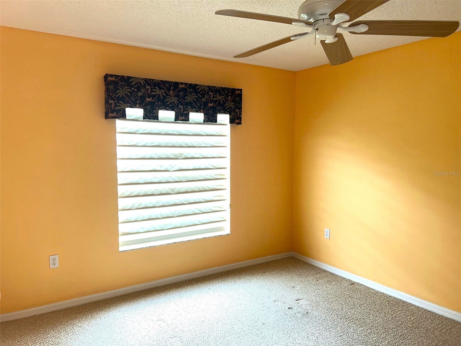 18702 Bellevista Court Hudson FL 34667 TB8525473 image18