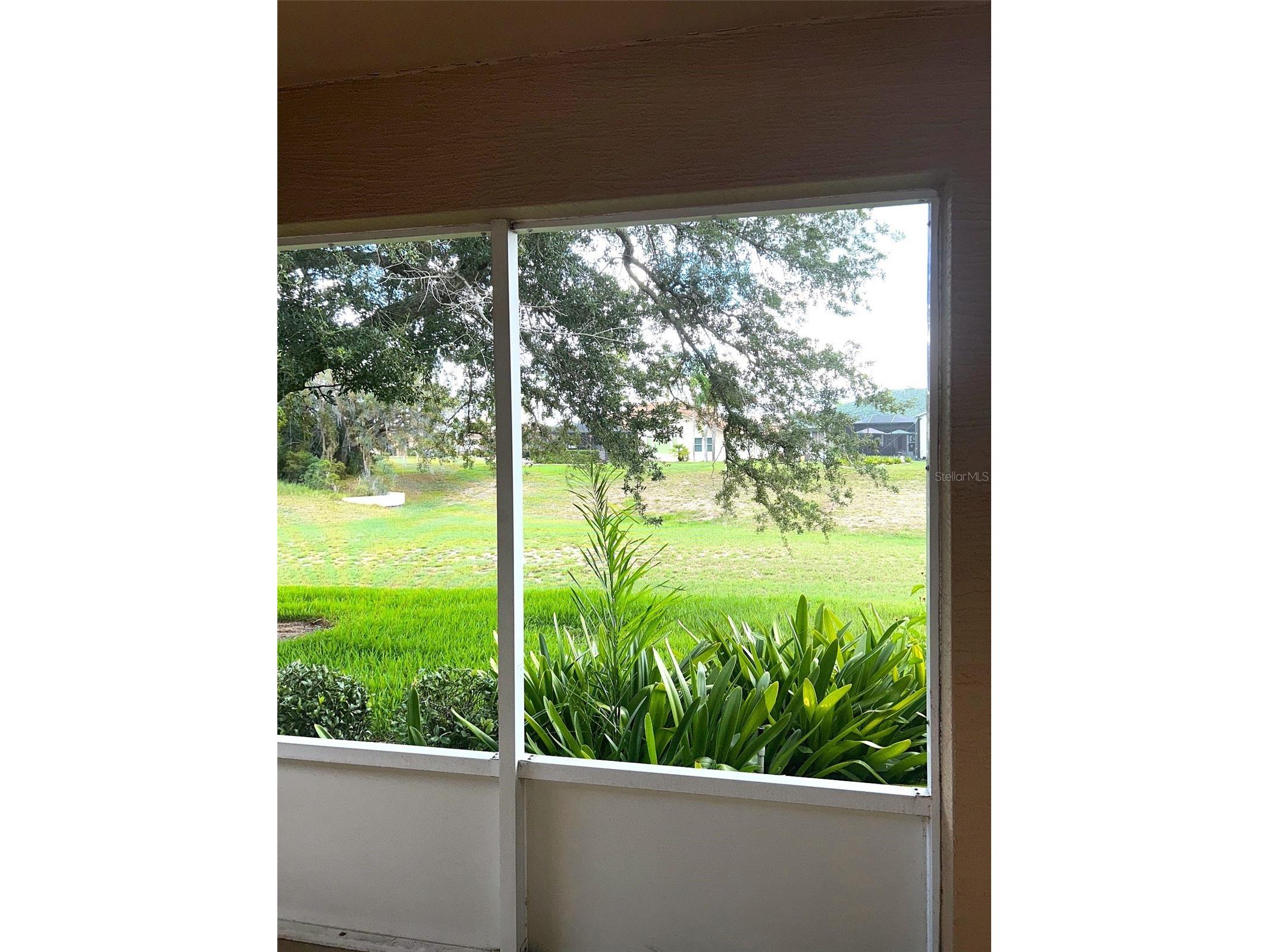 18702 Bellevista Court Hudson FL 34667 TB8525473 image22