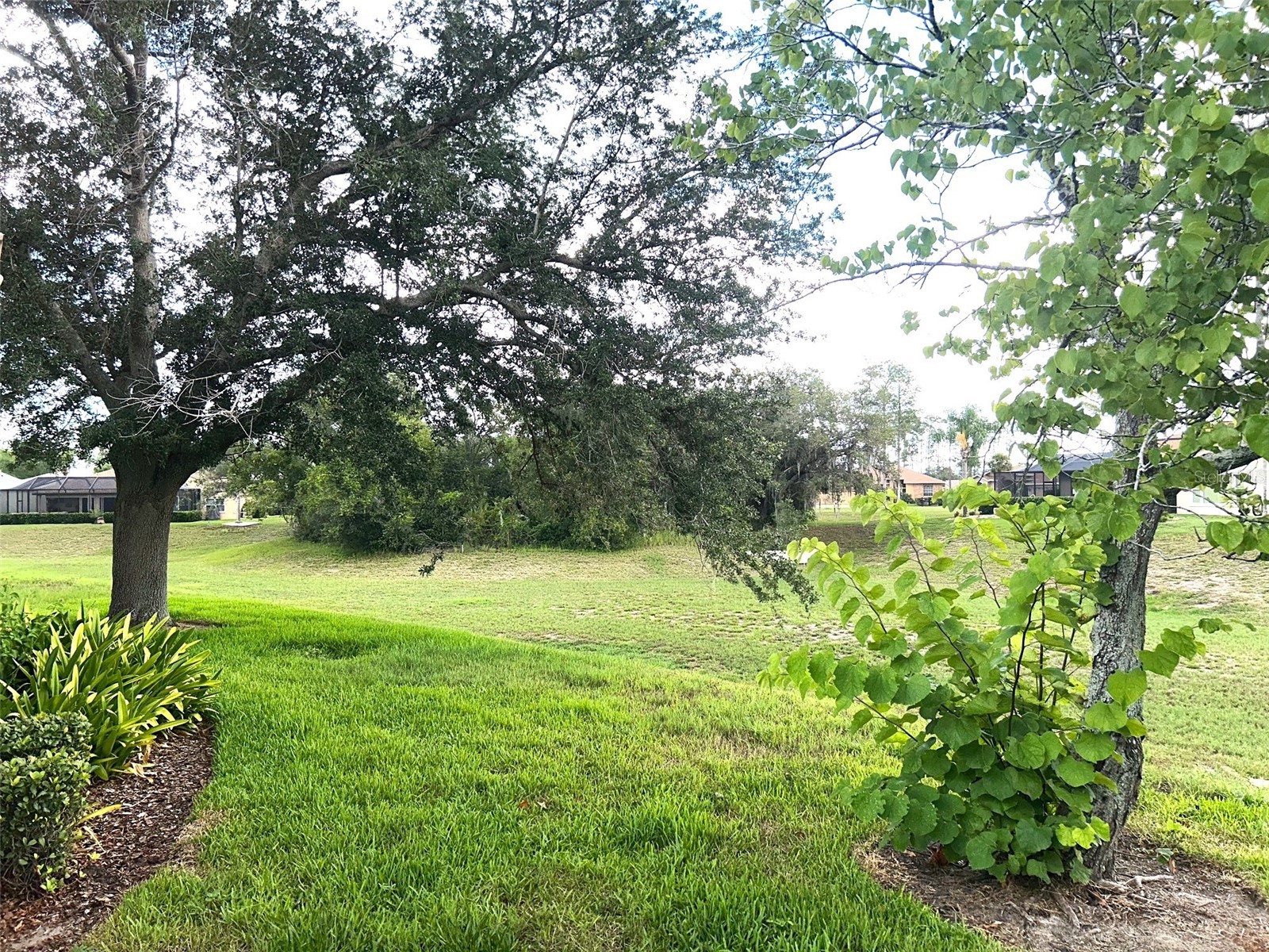 18702 Bellevista Court Hudson FL 34667 TB8525473 image26
