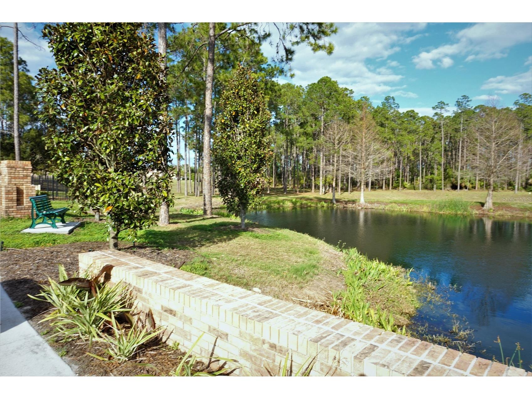 18702 Bellevista Court Hudson FL 34667 TB8525473 image29