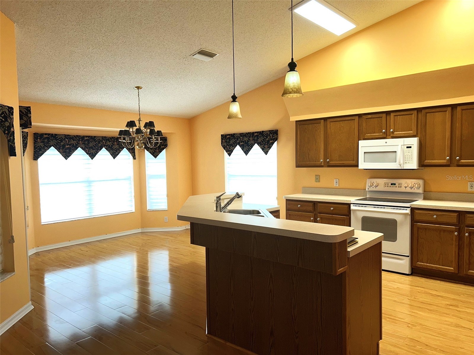 18702 Bellevista Court Hudson FL 34667 TB8525473 image7