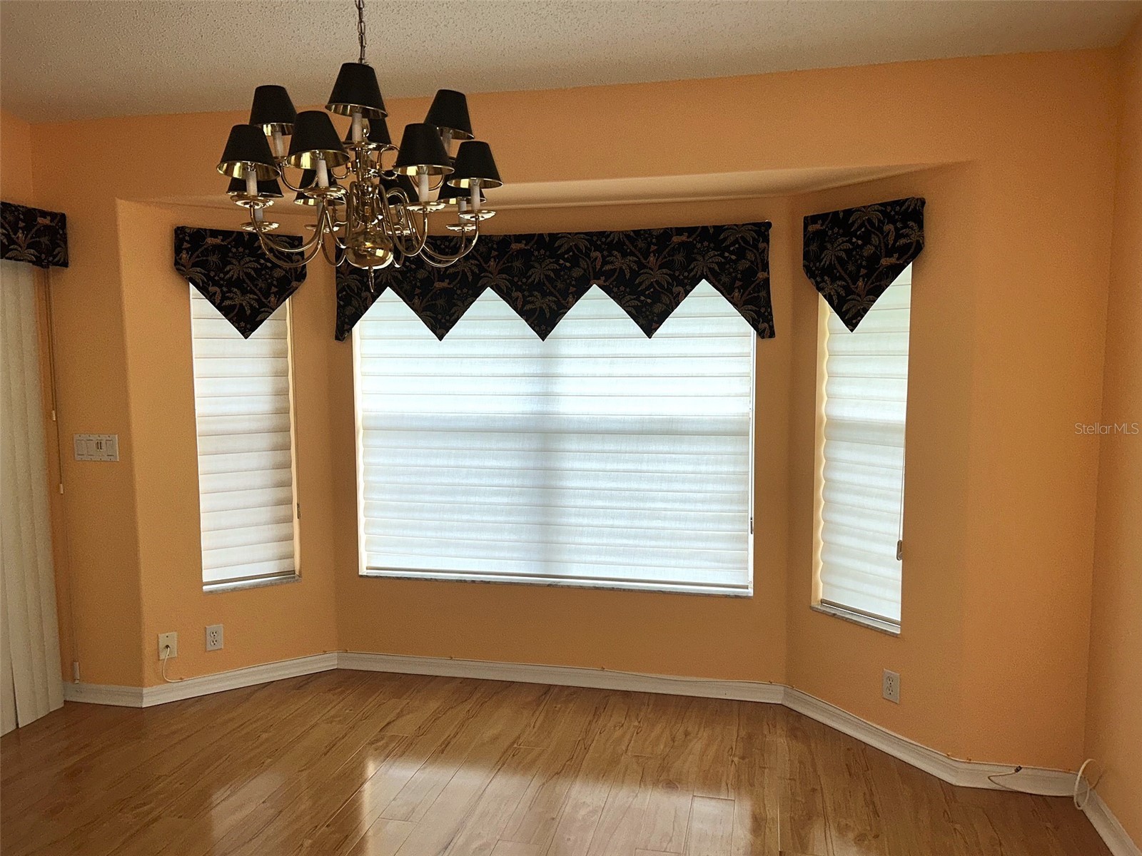 18702 Bellevista Court Hudson FL 34667 TB8525473 image9