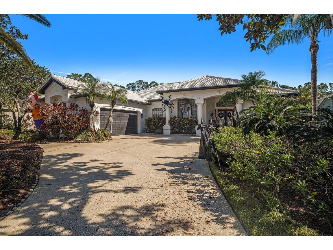 18705 Chemille Drive Lutz FL 33558 O6252184 image1