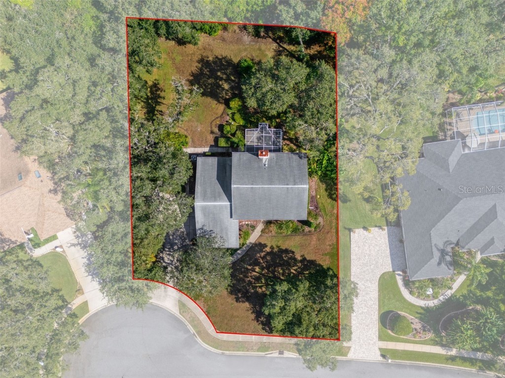 18706 Golden Hawk Court Hudson FL 34667 W7880077 image6