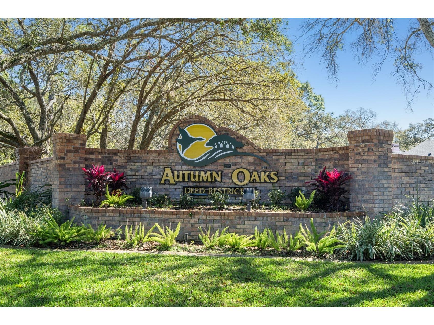 18706 Golden Hawk Court Hudson FL 34667 W7880077 image80