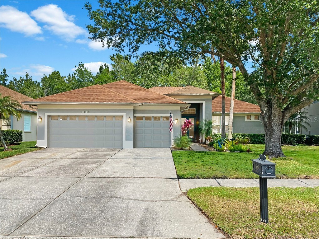 18707 Chaville Road Lutz FL 33558 T3470454 image1