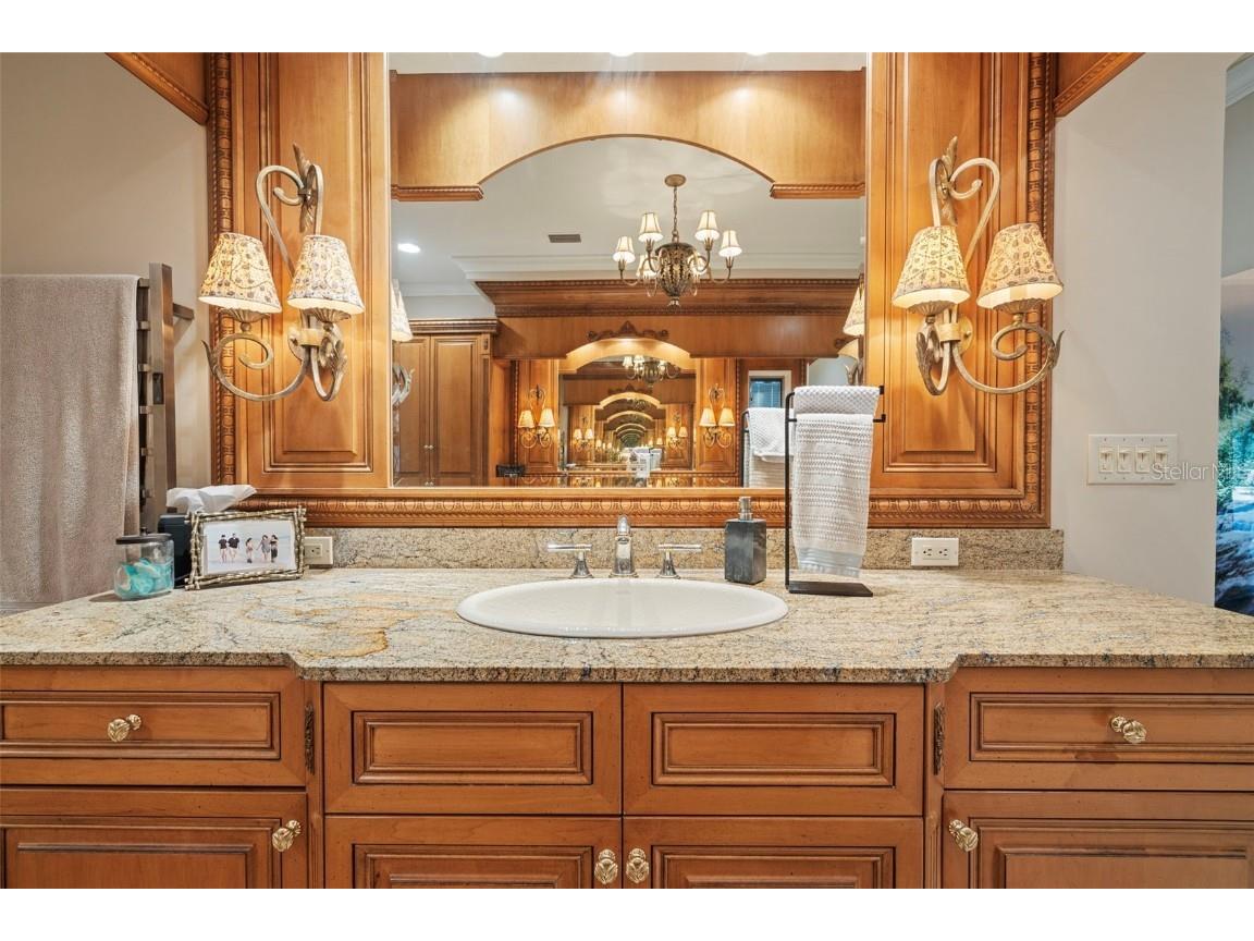 18707 Pepper Pike Lutz FL 33558 TB8448740 image31