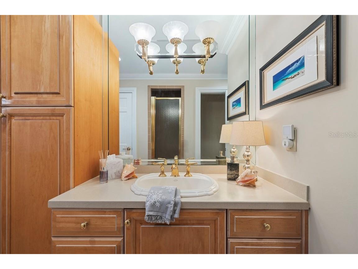 18707 Pepper Pike Lutz FL 33558 TB8448740 image39