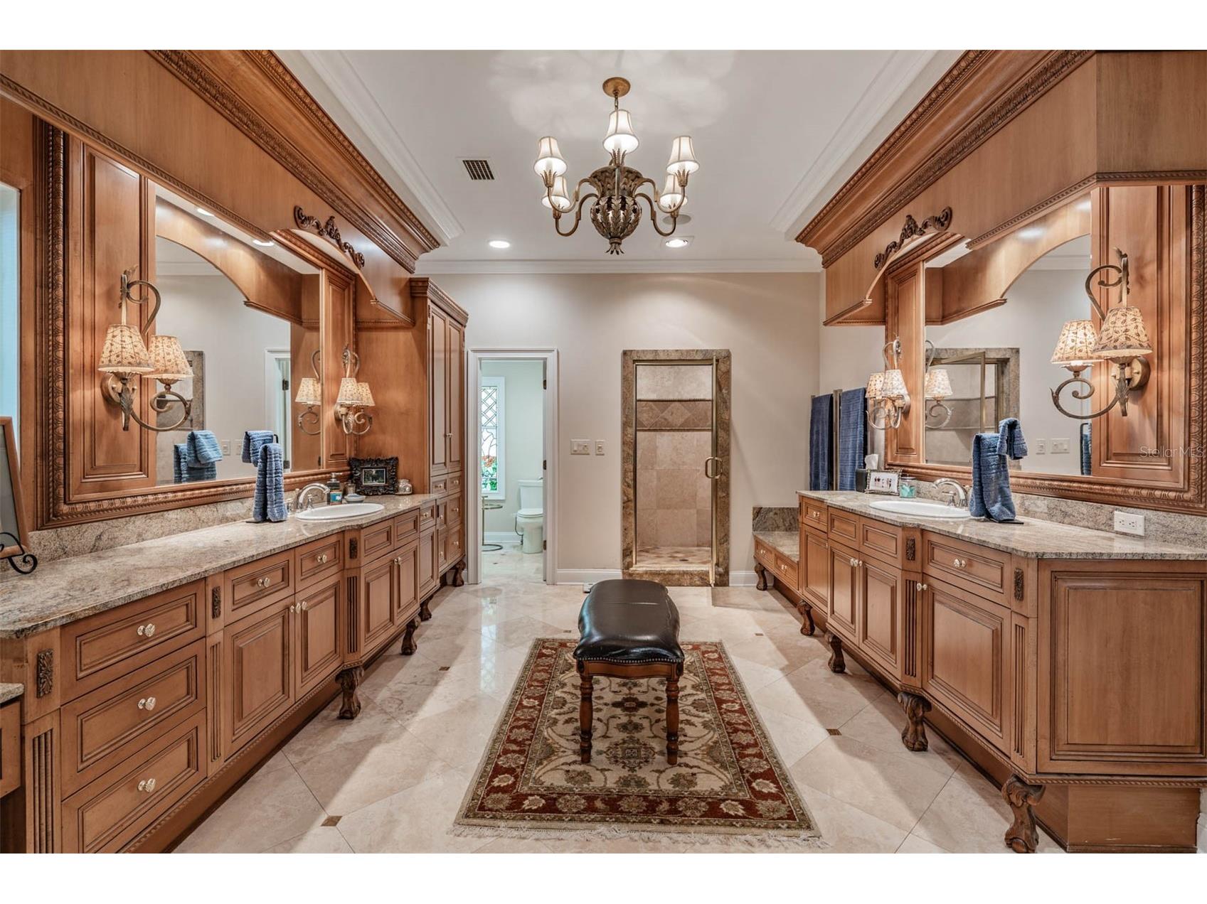 18707 Pepper Pike Lutz FL 33558 TB8501748 image32