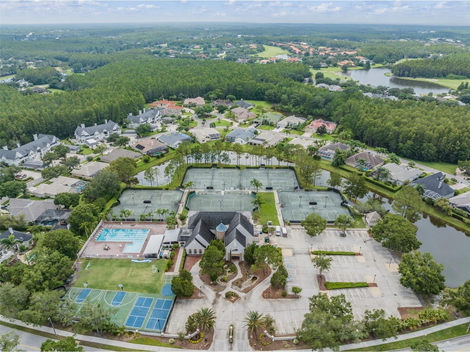 18707 Pepper Pike Lutz FL 33558 TB8501748 image84