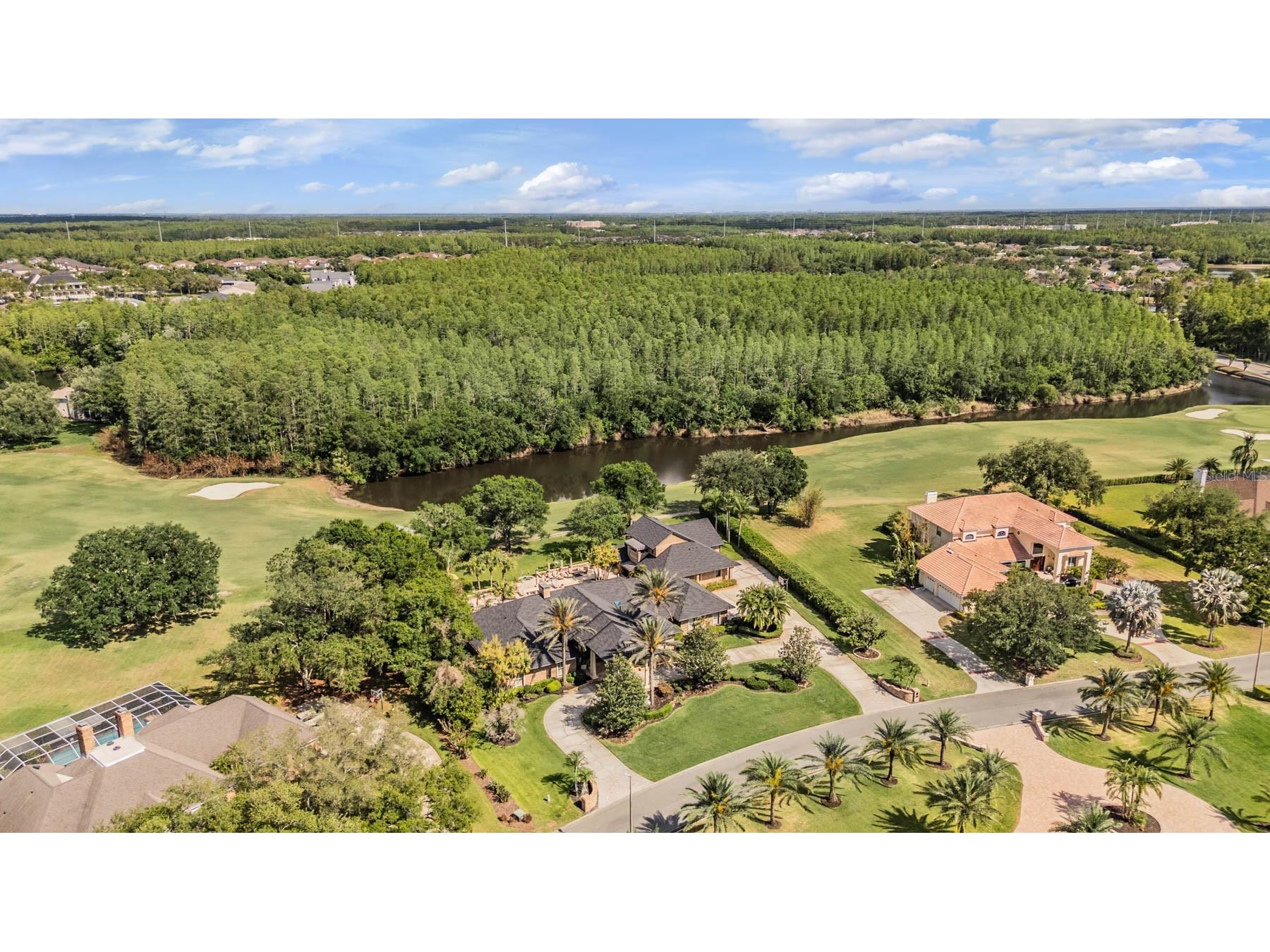 18707 Pepper Pike Lutz FL 33558 TB8501748 image95