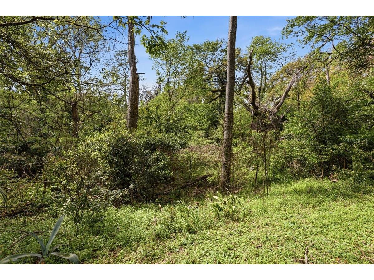 18708 NW 242nd Street High Springs FL 32643 GC538630 image8
