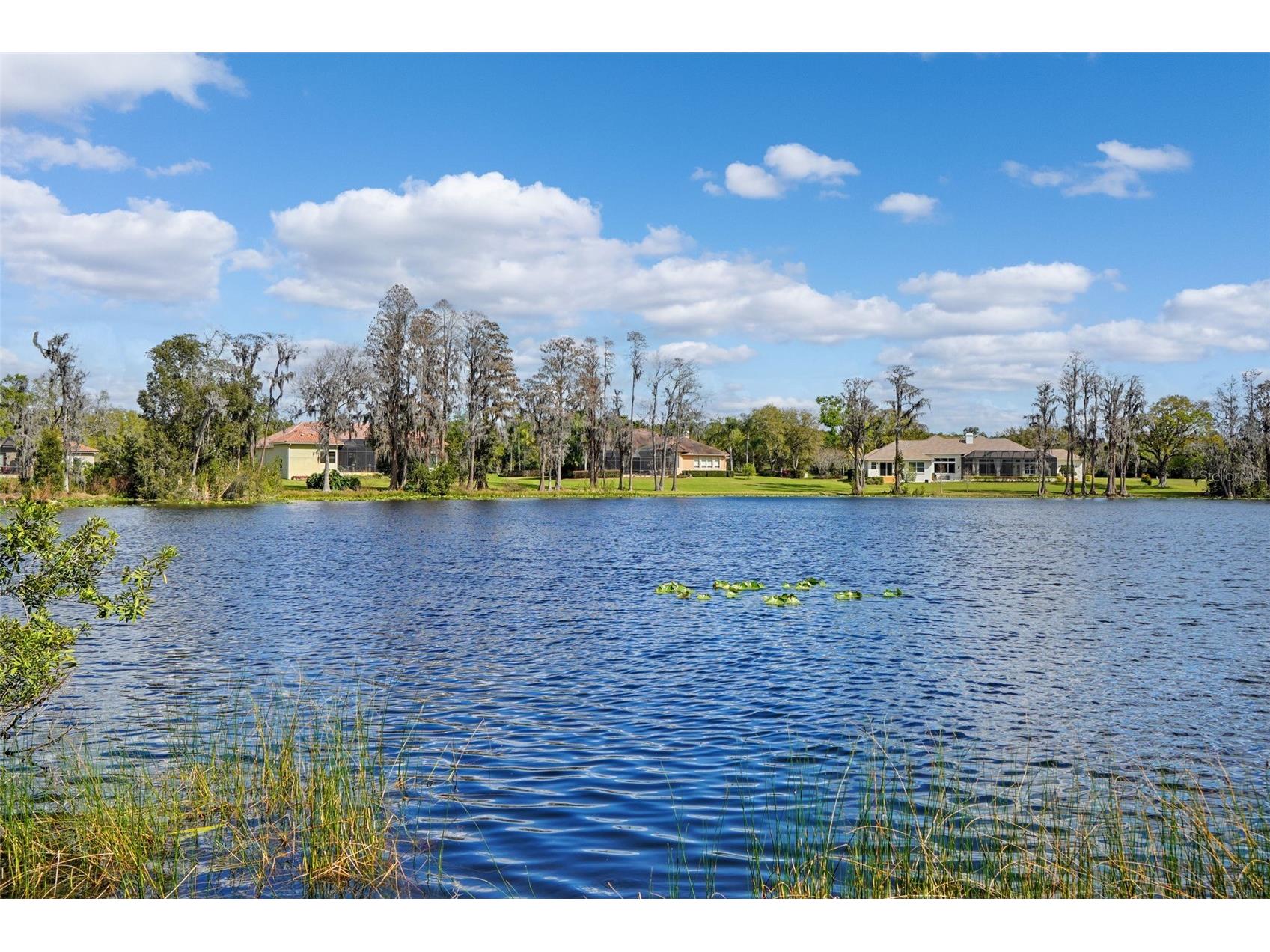 18709 Wayne Road Odessa FL 33556 TB8484035 image1