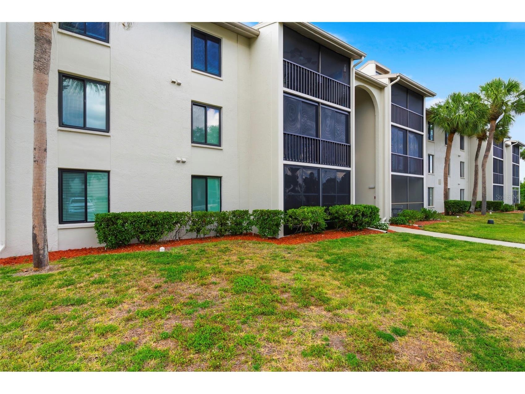 1871 Pine Ridge Way W #B2 Palm Harbor FL 34684 TB8503302 image3