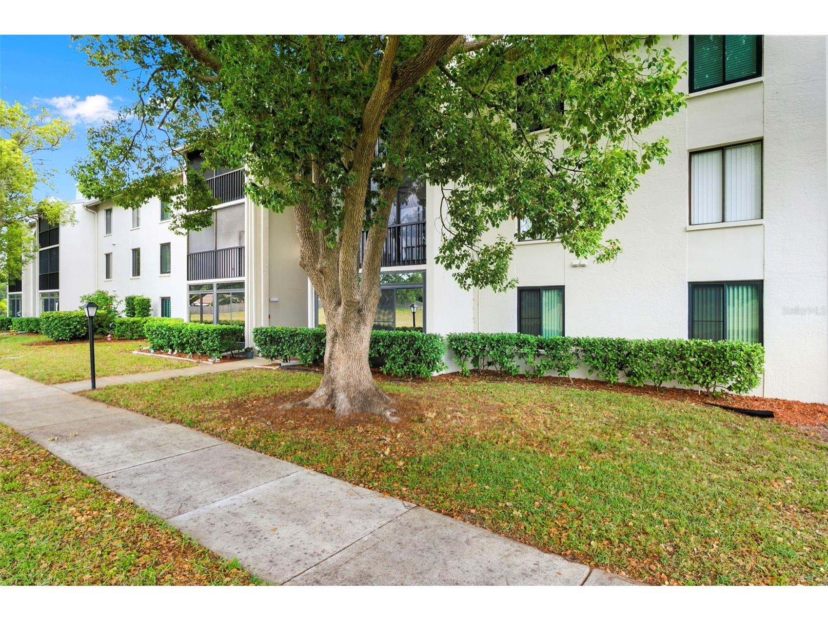 1871 Pine Ridge Way W #B2 Palm Harbor FL 34684 TB8503302 image4