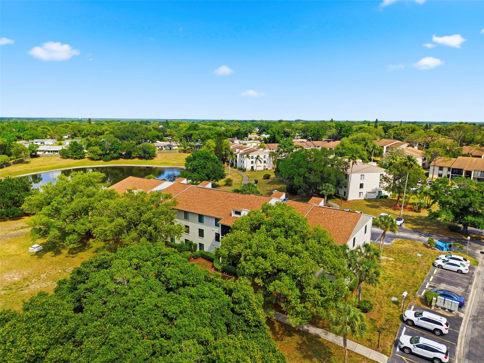 1871 Pine Ridge Way W #B2 Palm Harbor FL 34684 TB8503302 image45
