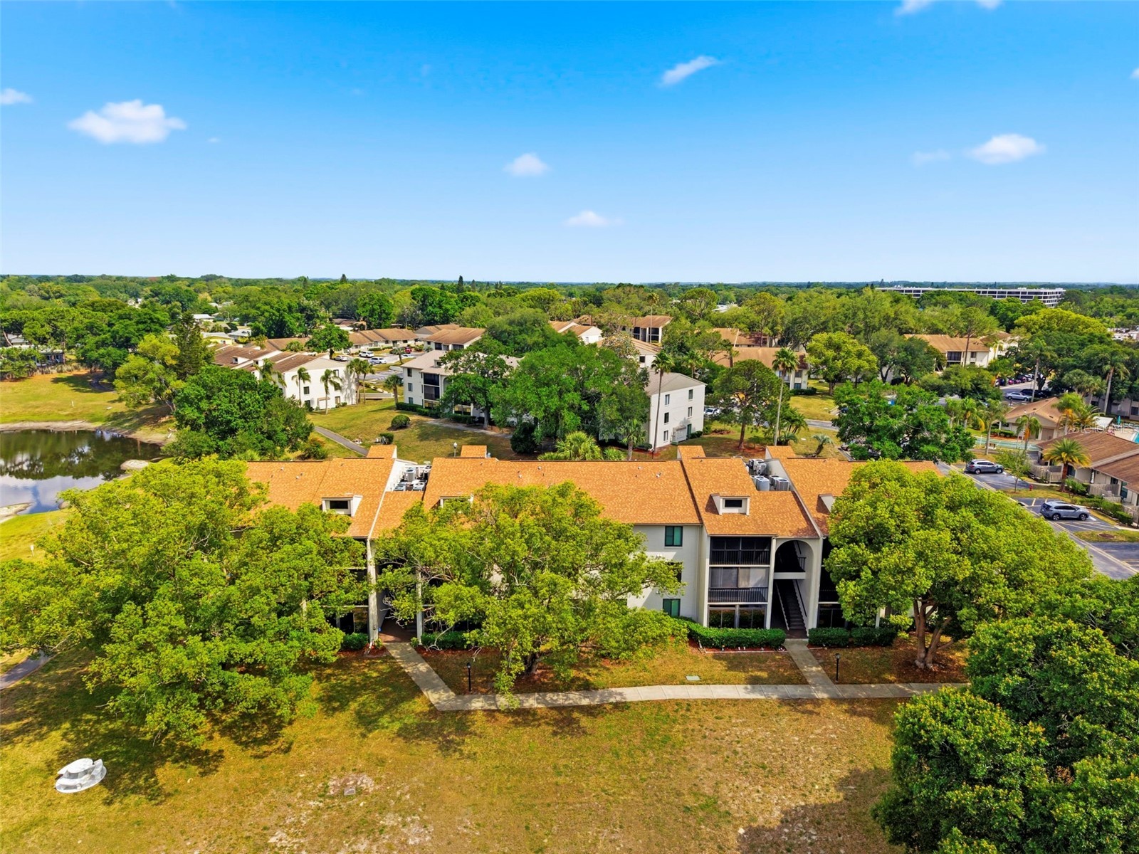 1871 Pine Ridge Way W #B2 Palm Harbor FL 34684 TB8503302 image46