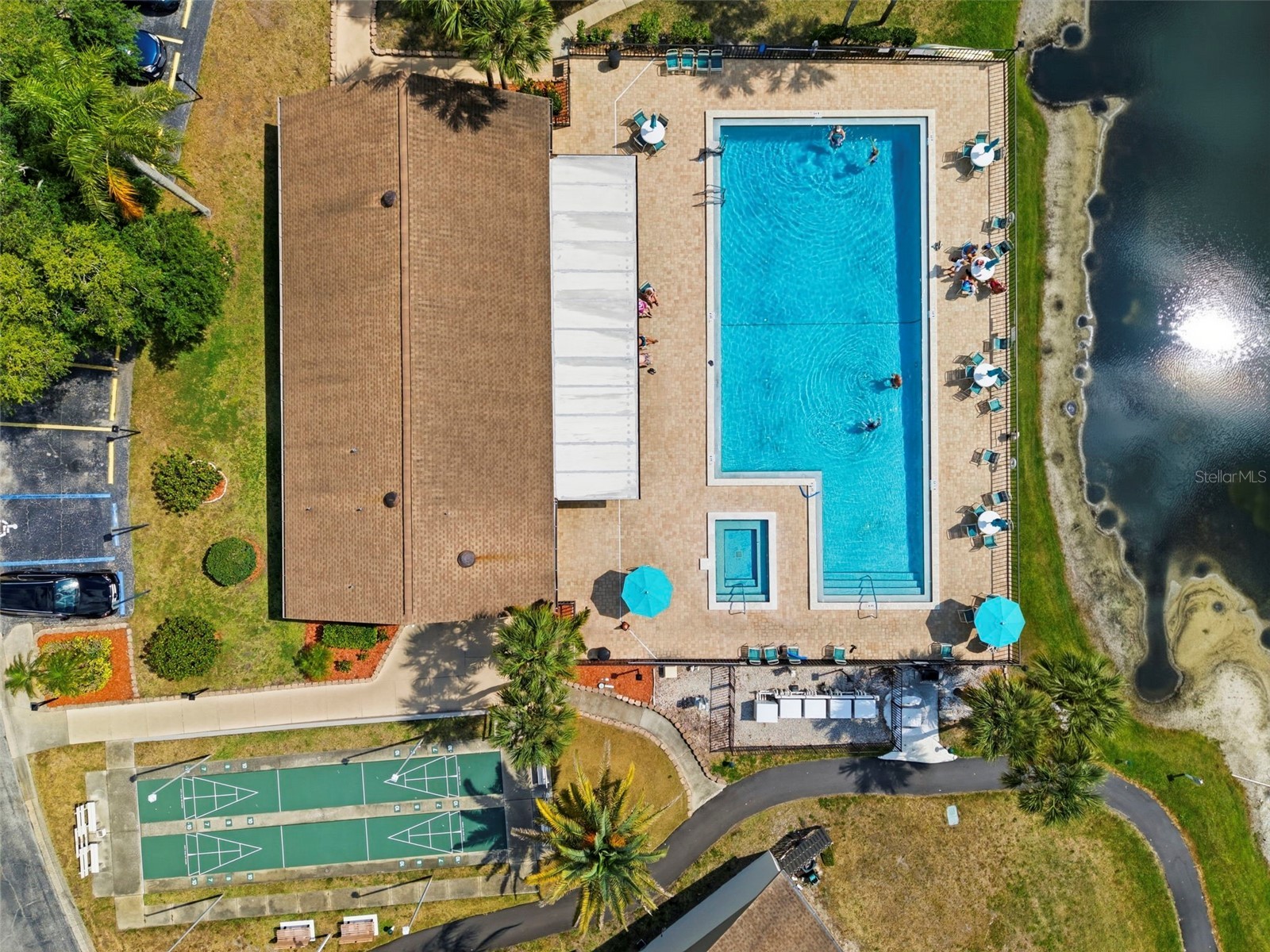 1871 Pine Ridge Way W #B2 Palm Harbor FL 34684 TB8503302 image51