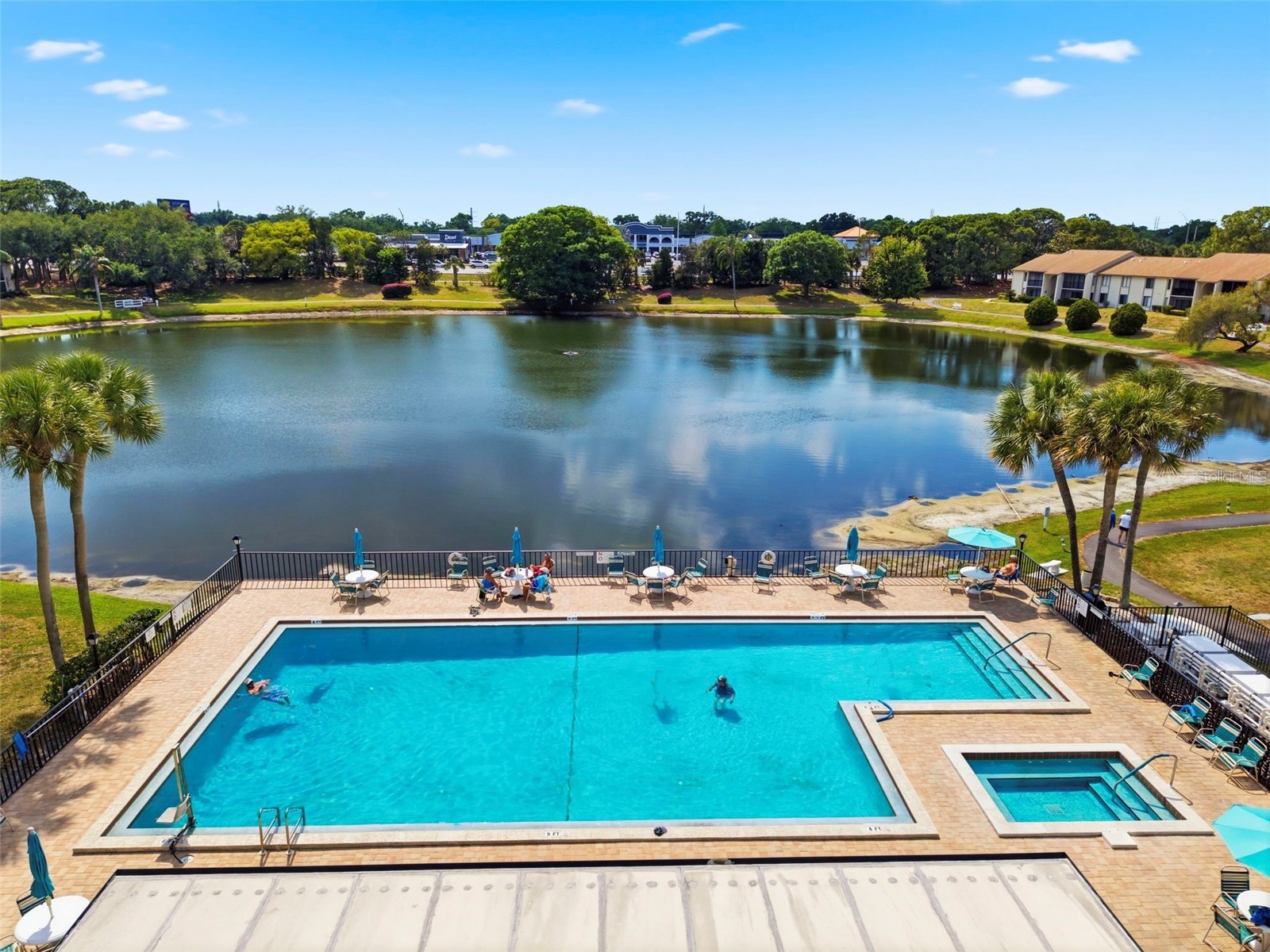 1871 Pine Ridge Way W #B2 Palm Harbor FL 34684 TB8503302 image53