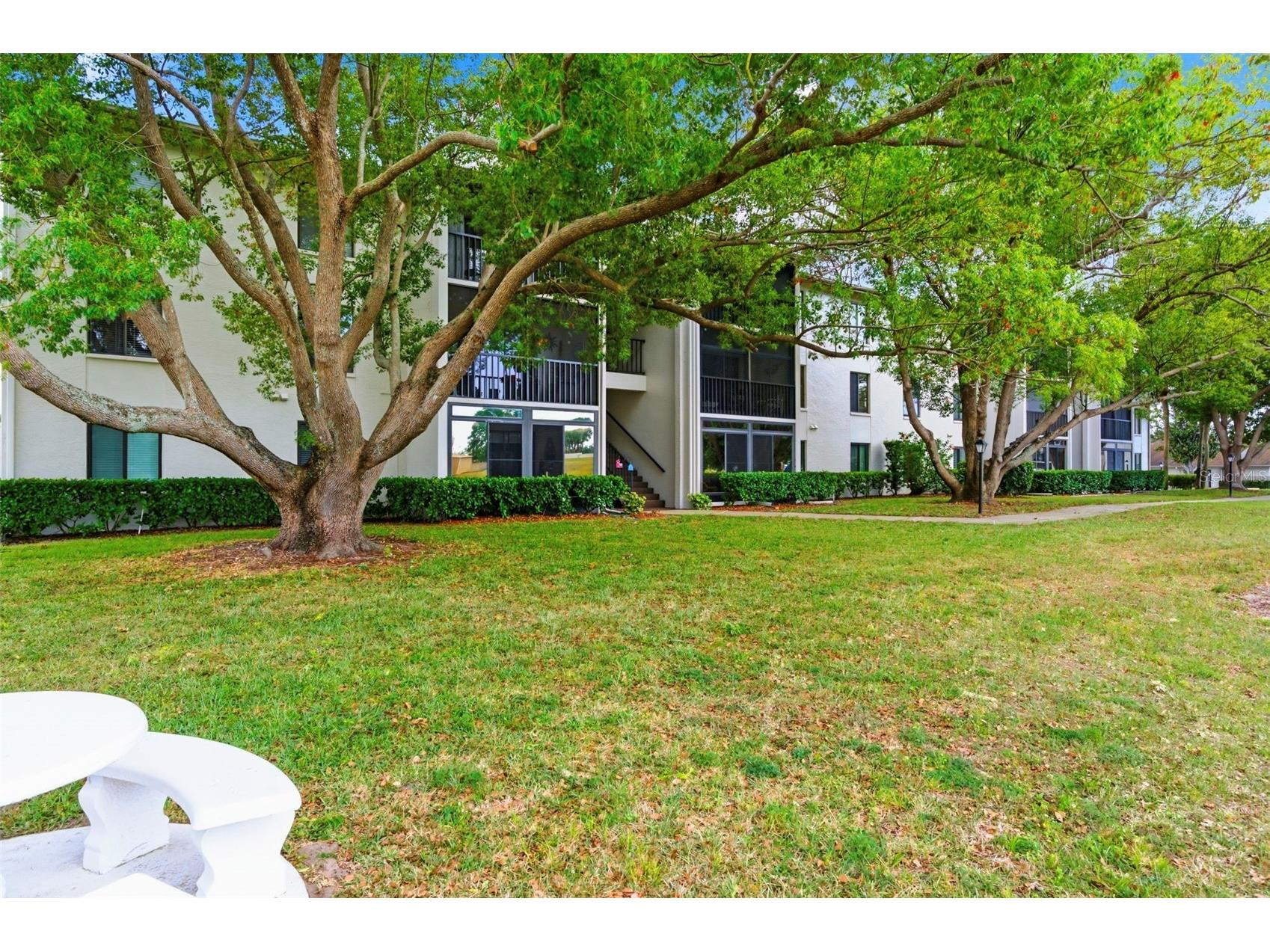 1871 Pine Ridge Way W #B2 Palm Harbor FL 34684 TB8503302 image6