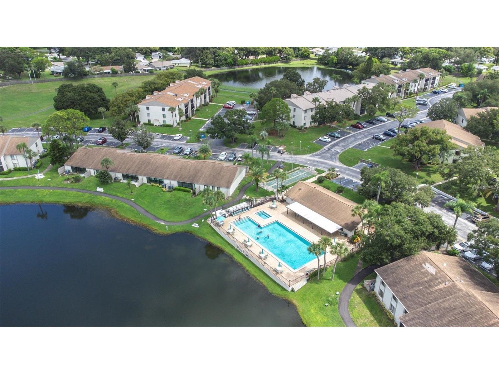 1871 Pine Ridge Way W #H3 Palm Harbor FL 34684 TB8468289 image29