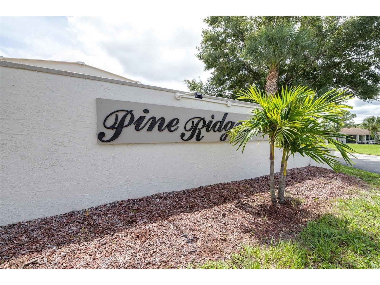 1871 Pine Ridge Way W #H3 Palm Harbor FL 34684 TB8468289 image32