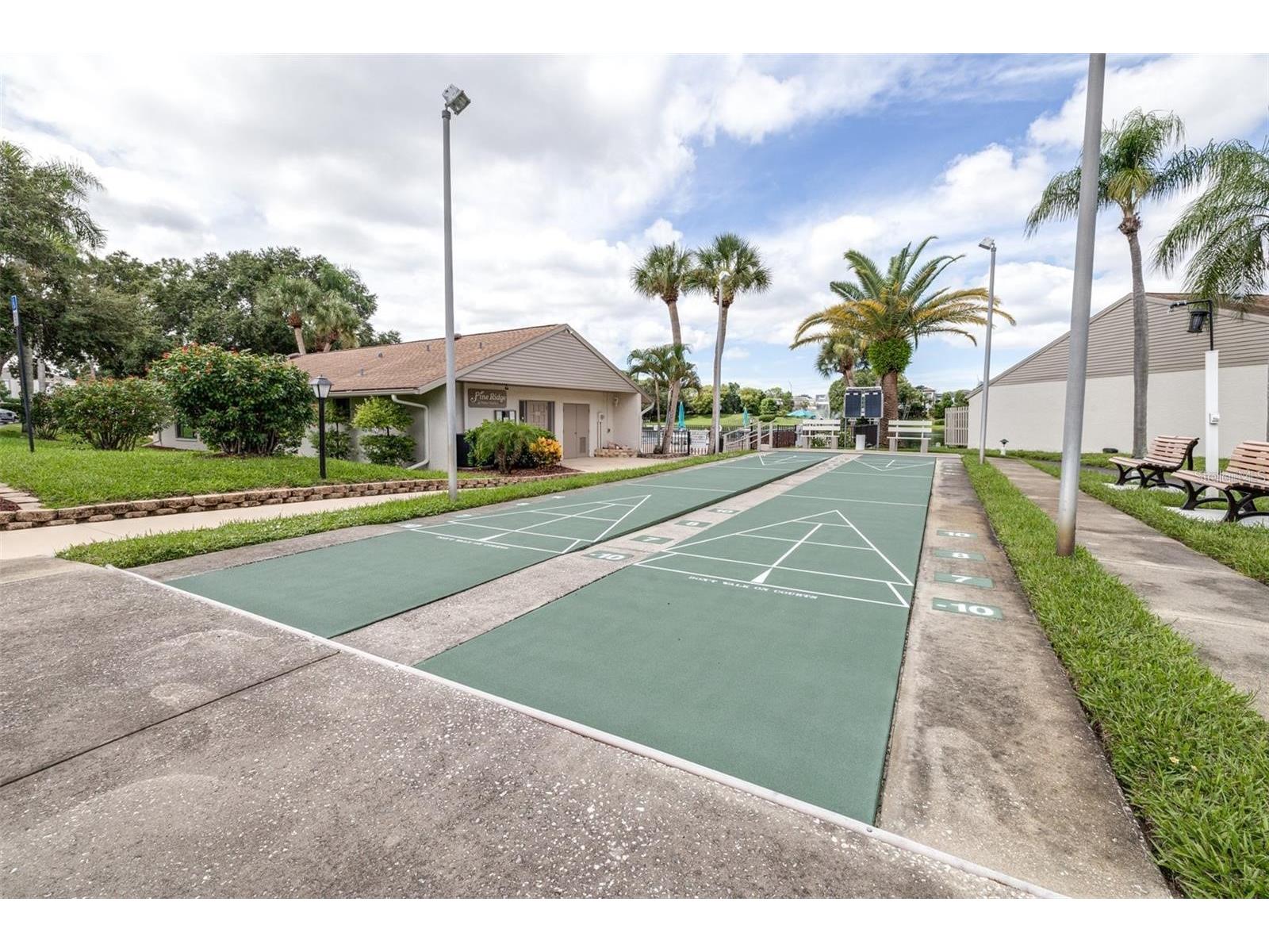 1871 Pine Ridge Way W #H3 Palm Harbor FL 34684 TB8468289 image34