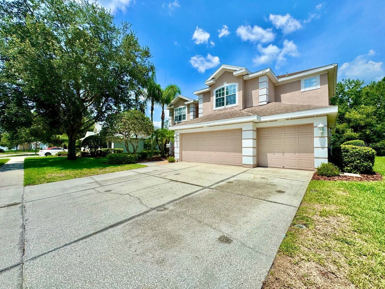 18711 Chaville Road Lutz FL 33558 TB8513035 image2