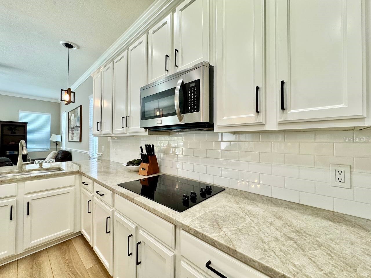 18711 Chaville Road Lutz FL 33558 TB8513035 image25