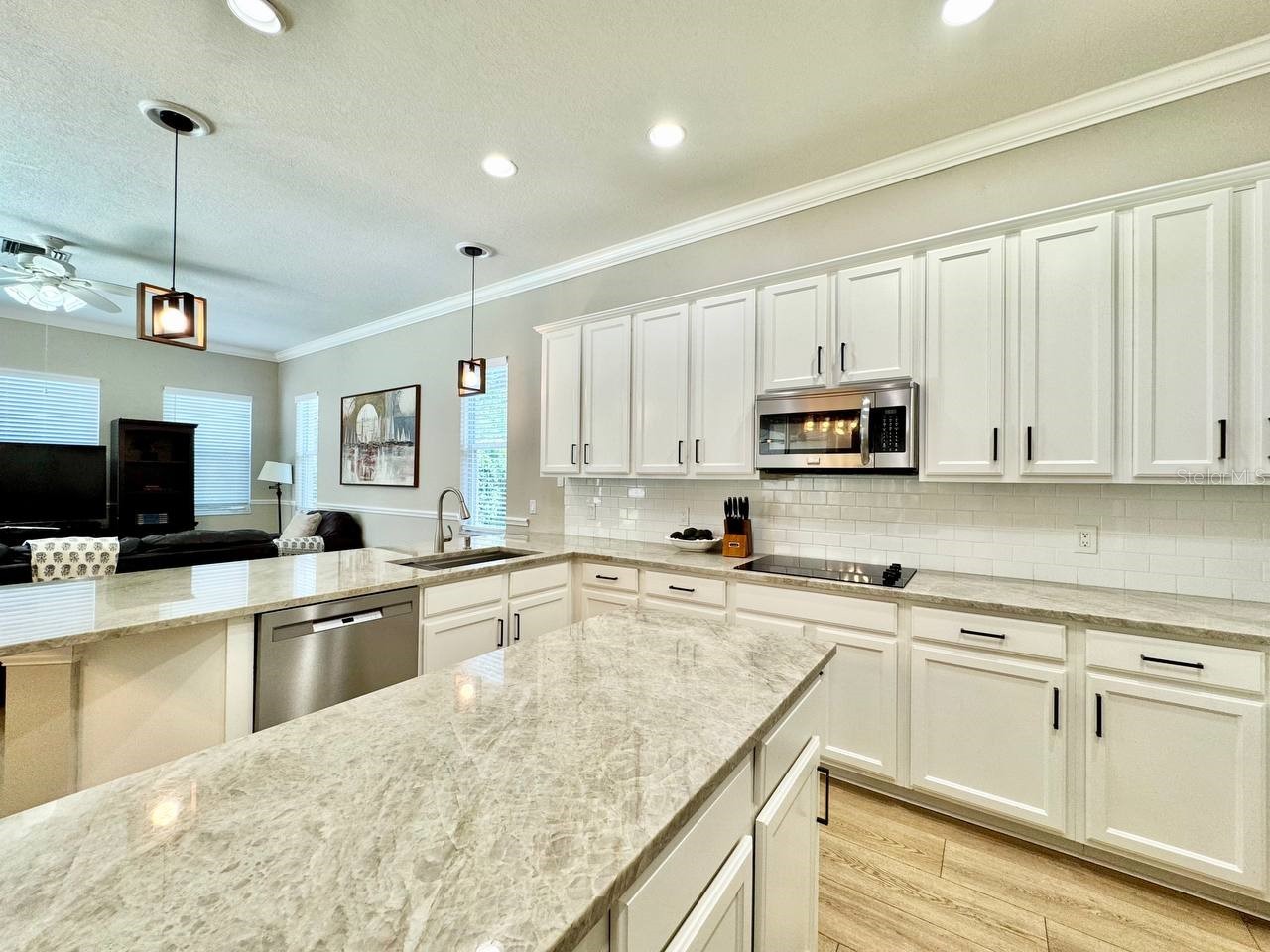 18711 Chaville Road Lutz FL 33558 TB8513035 image26