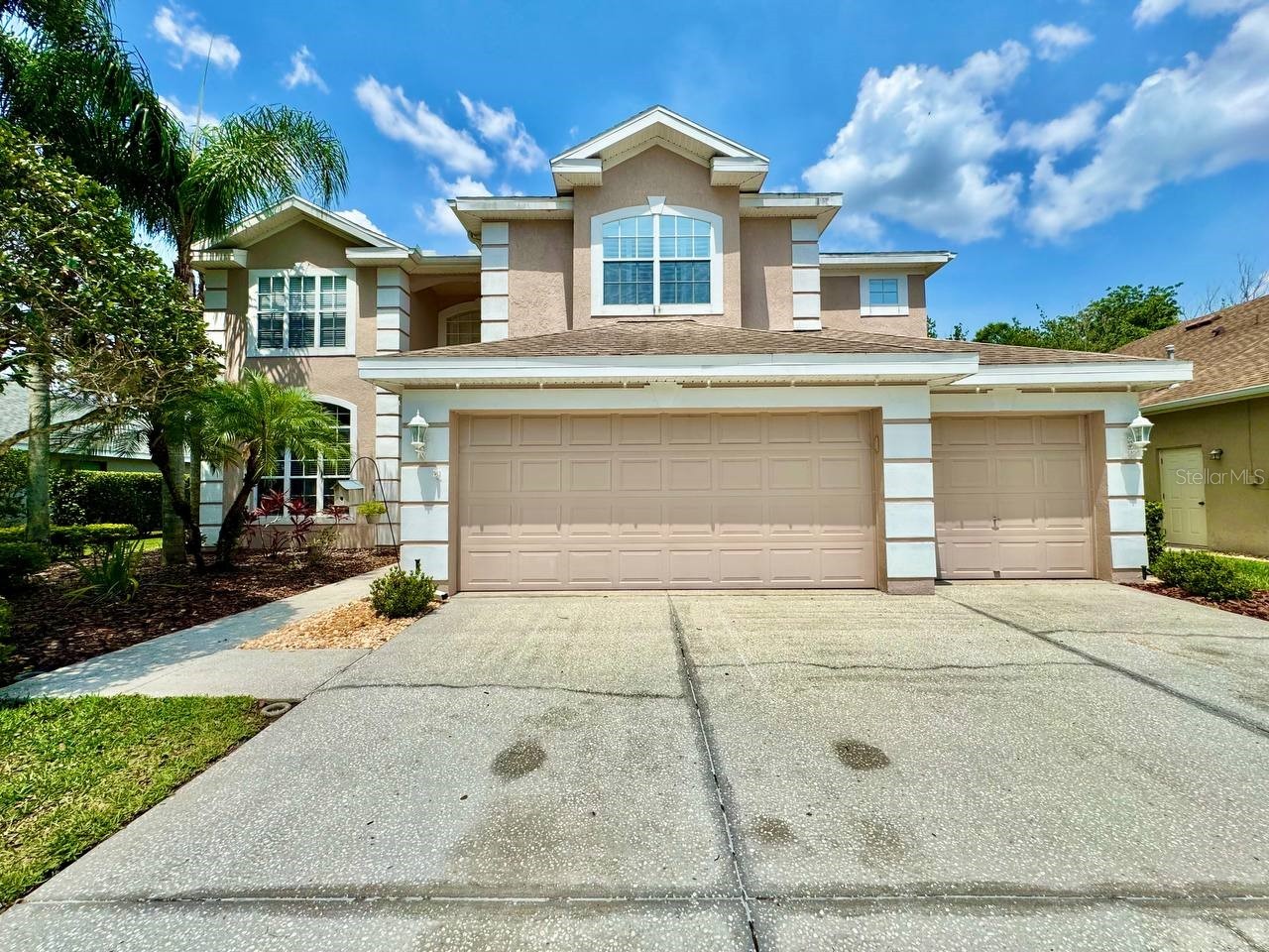 18711 Chaville Road Lutz FL 33558 TB8513035 image4