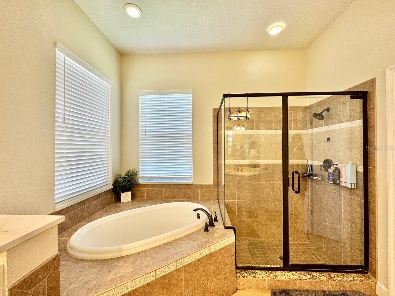 18711 Chaville Road Lutz FL 33558 TB8513035 image40
