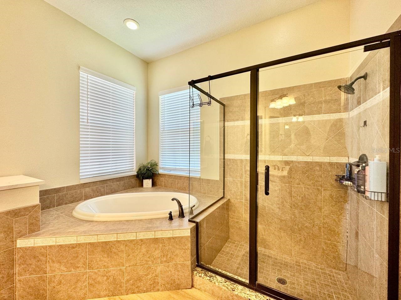 18711 Chaville Road Lutz FL 33558 TB8513035 image41