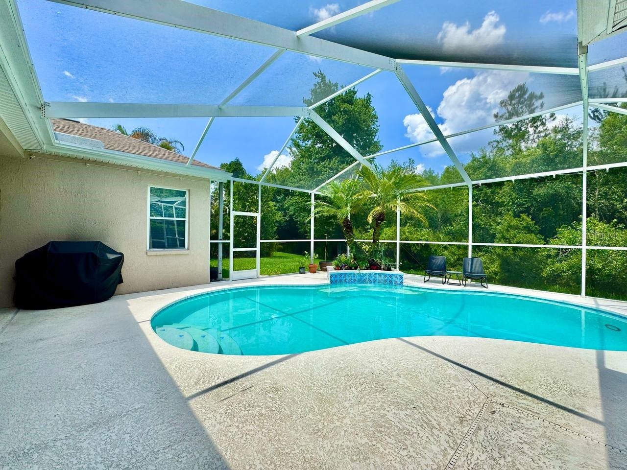 18711 Chaville Road Lutz FL 33558 TB8513035 image65