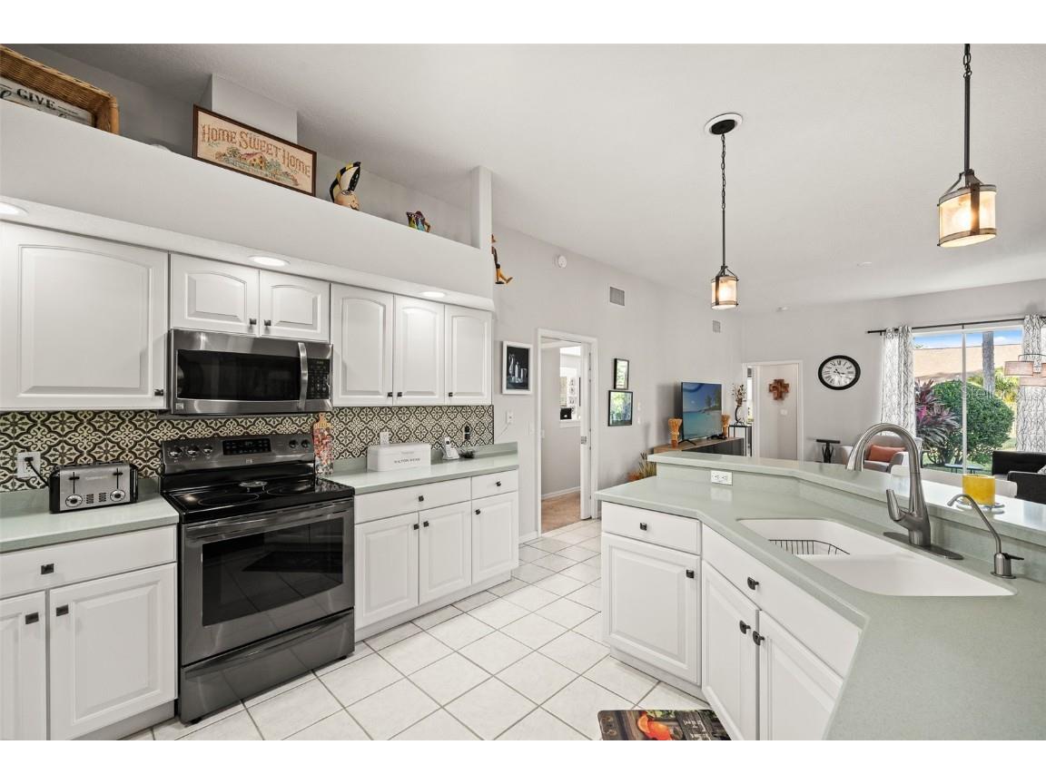 18715 Dove Hollow Court Hudson FL 34667 TB8448704 image14