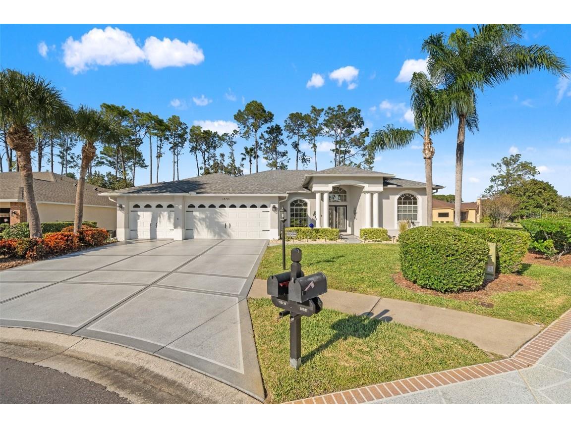 18715 Dove Hollow Court Hudson FL 34667 TB8448704 image2