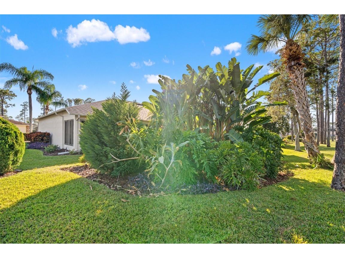 18715 Dove Hollow Court Hudson FL 34667 TB8448704 image44